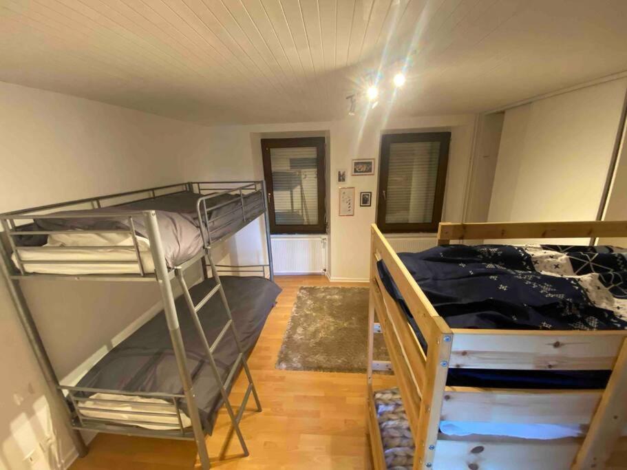 Appartement Emile Galle. Goetzenbruck Екстер'єр фото